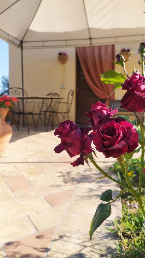 Il Casale Di Fiore Cannara Exteriér fotografie