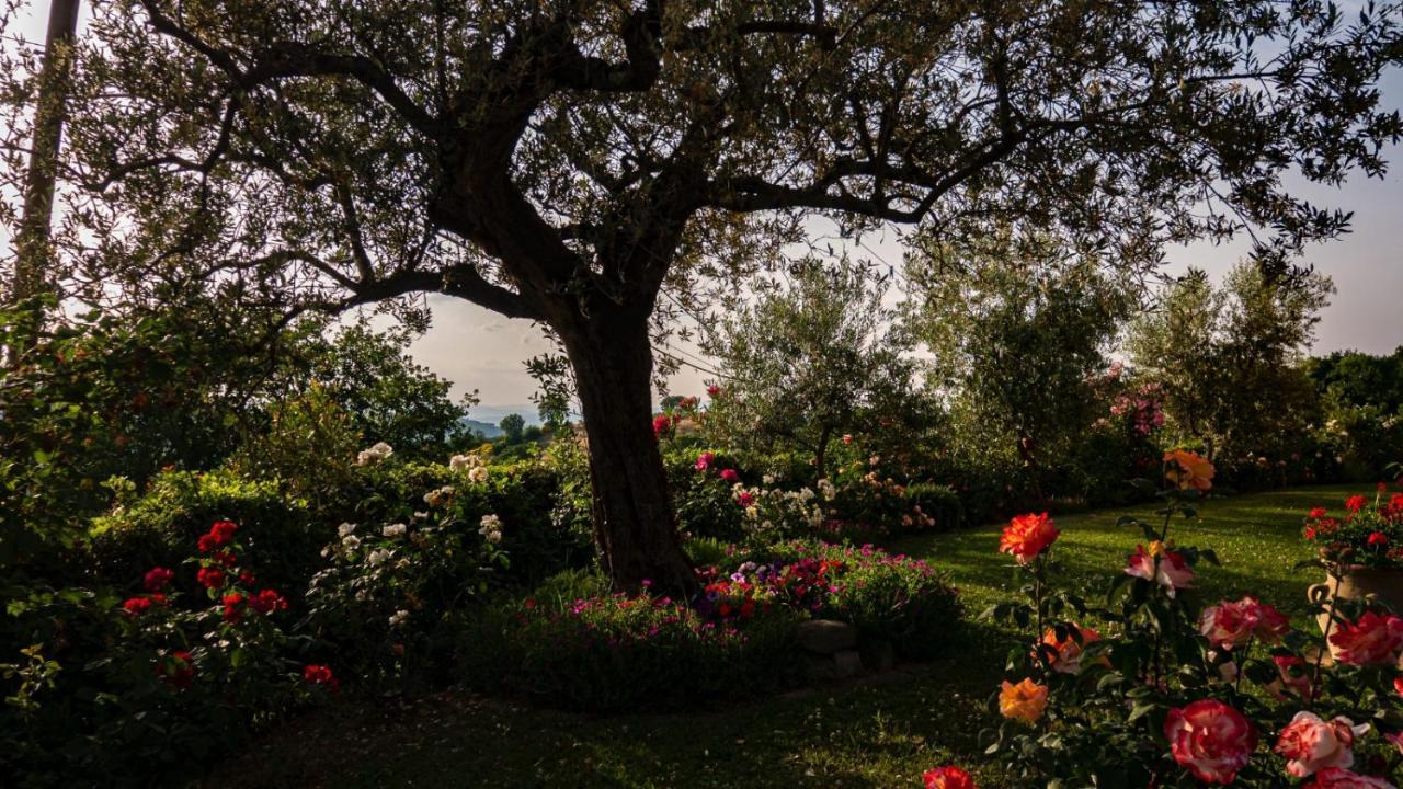 Il Casale Di Fiore Cannara Exteriér fotografie
