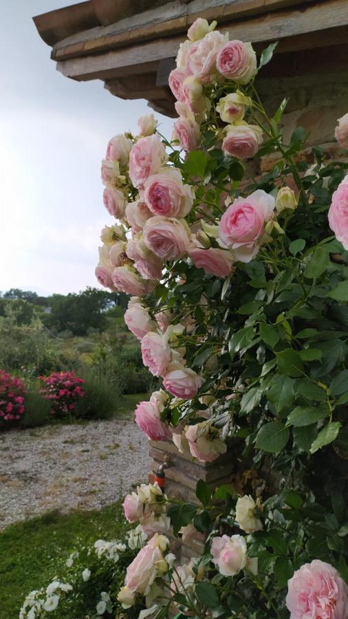 Il Casale Di Fiore Cannara Exteriér fotografie