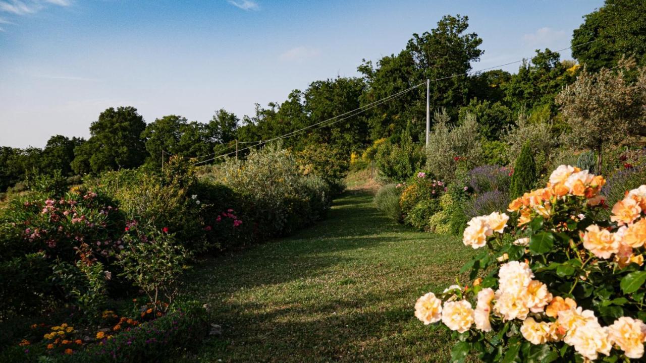 Il Casale Di Fiore Cannara Exteriér fotografie