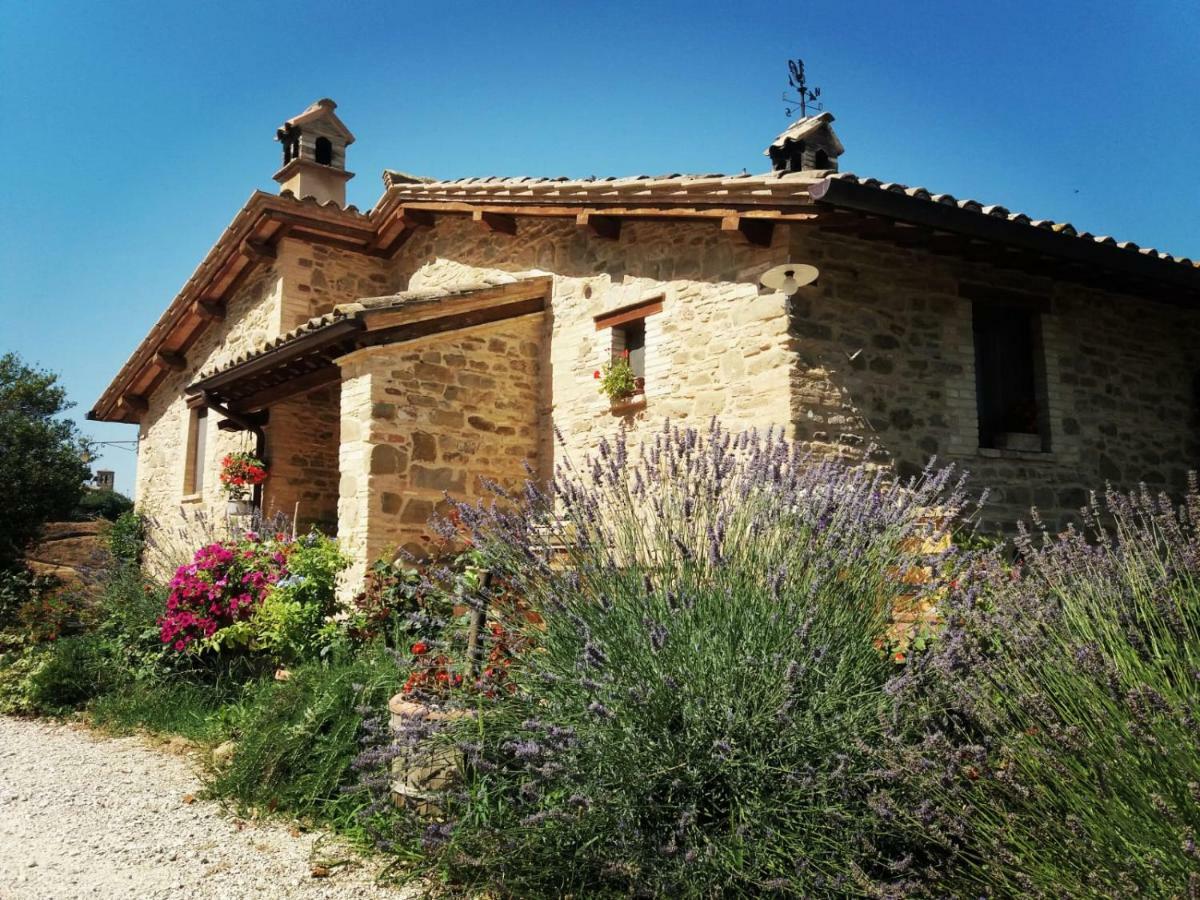 Il Casale Di Fiore Cannara Exteriér fotografie